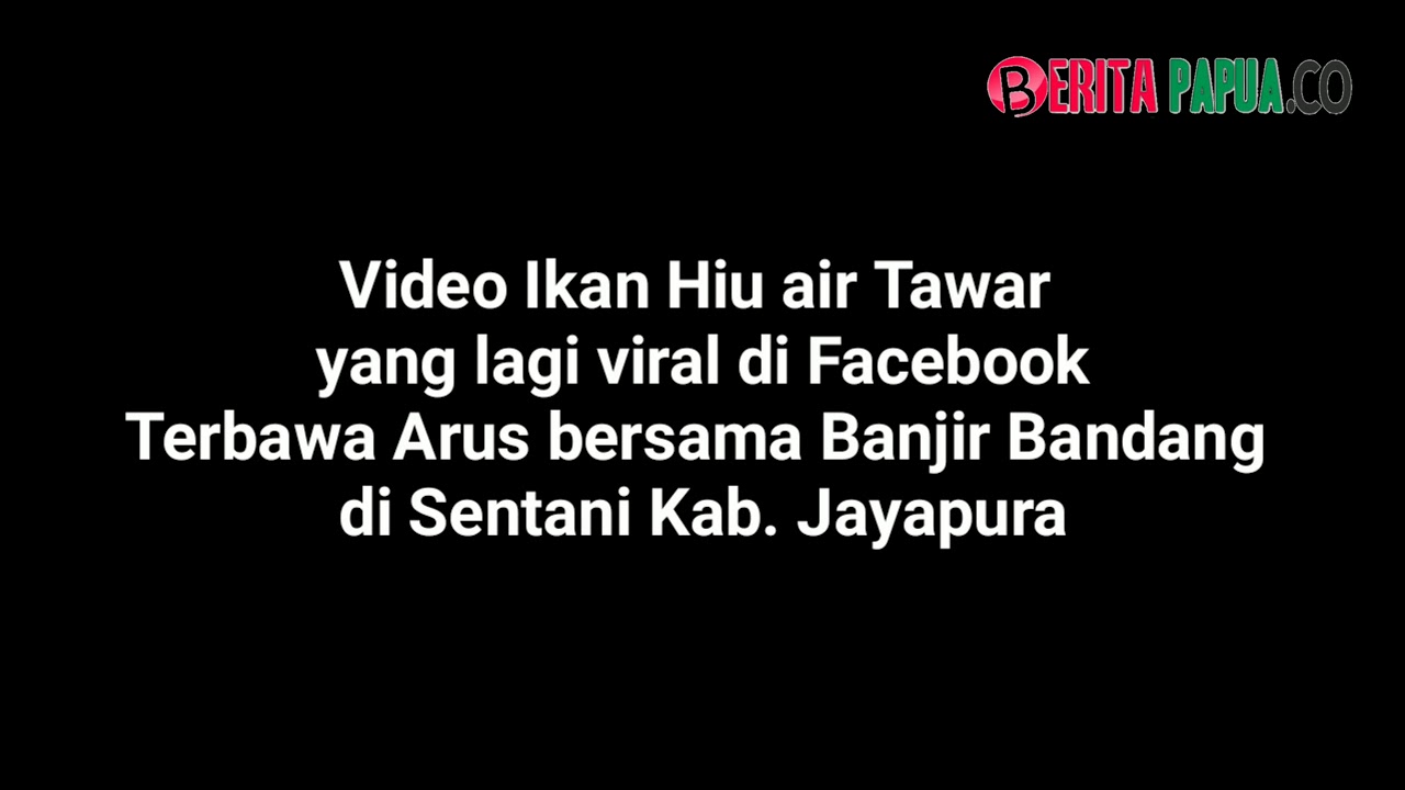 Ikan Hiu Air Tawar Terbawa Bersama Banjir Bandang Sentani