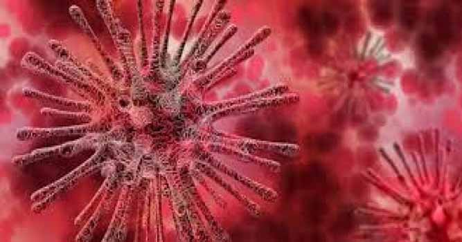 Simak..!! Betapa Mudahnya Virus Menyebar Lewat Benda Sekitar