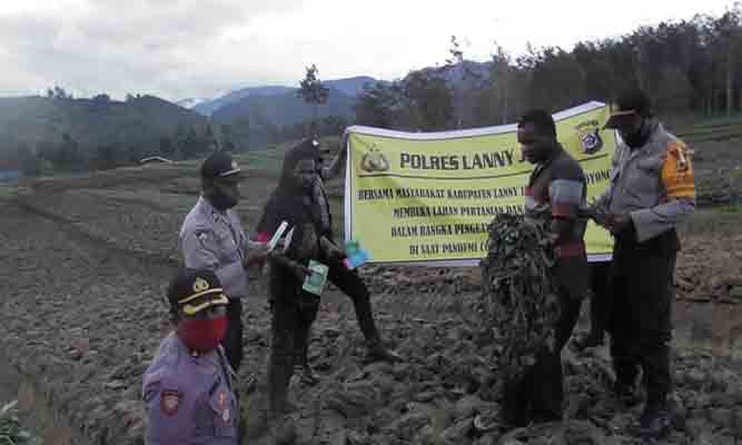 Jaga Ketahanan Pangan Kampung, Polres Lanny Jaya Serahkan Bibit Sayur dan ternak