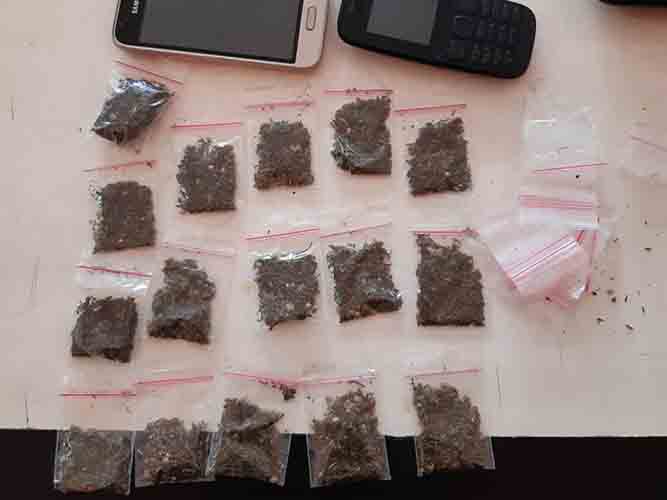 Polisi Tangkap Pengedar Ganja di Kota Jayapura