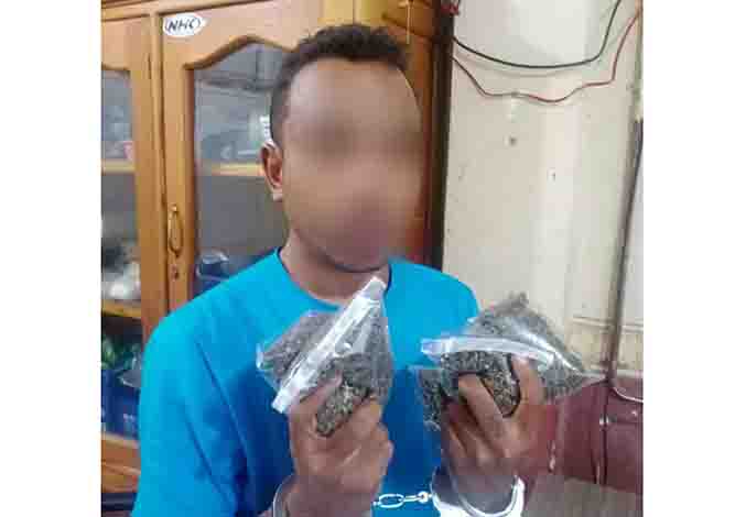 Polisi Tangkap Seorang Bandar Ganja