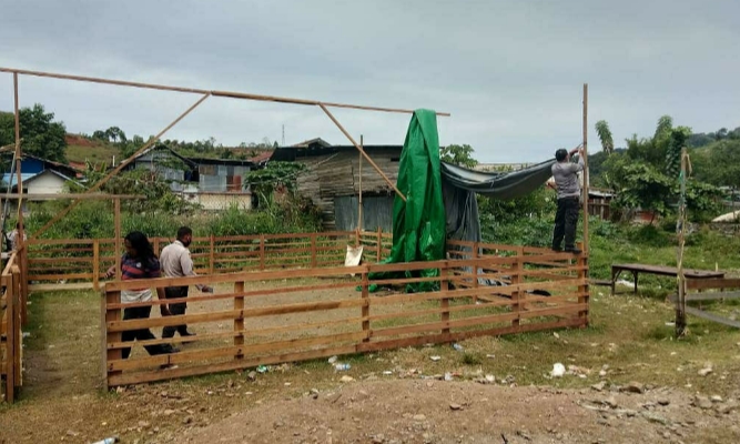Polisi Bongkar Arena Sabung Ayam di PasarYoutefa