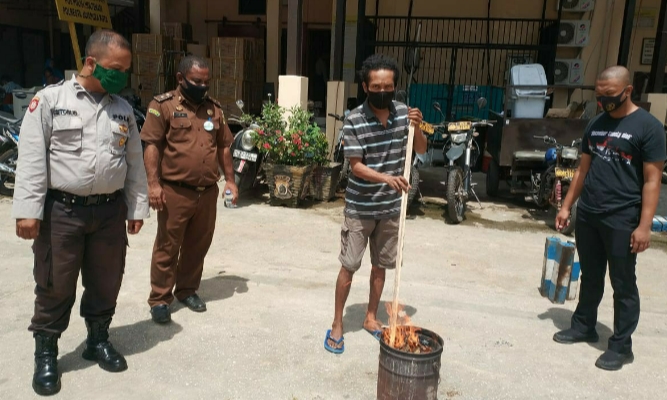 Polisi: Sebanyak 14 Pohon Ganja Kering Dimusnahkan