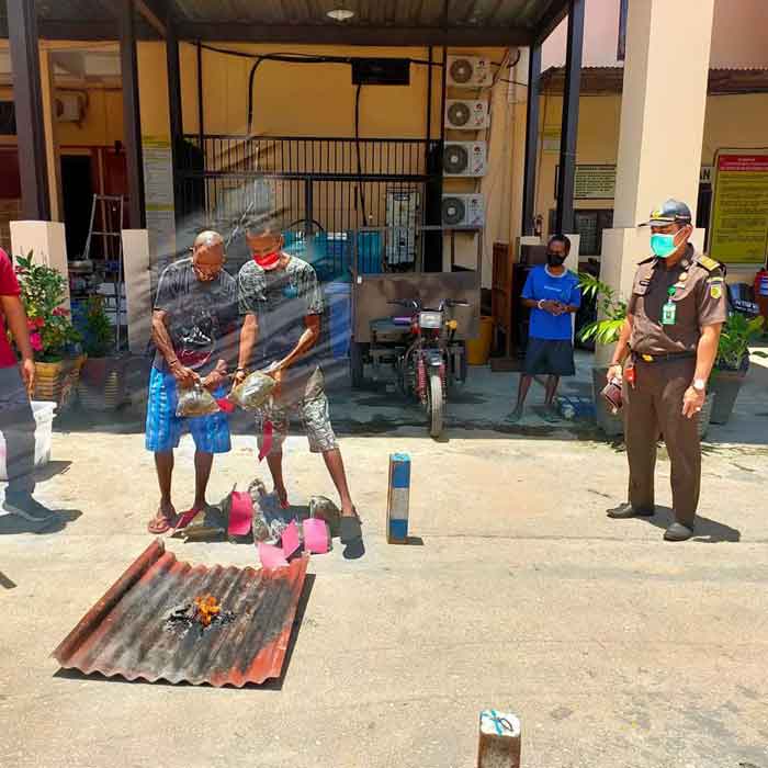 Ganja Seberat 3,5 Kilo Gram Dimusnahkan