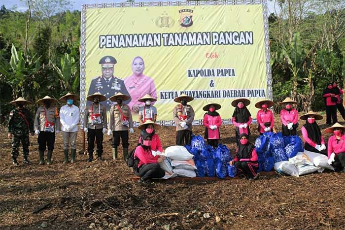 Kapolda pimpin penanaman 2.500 bibit di kampung Binmas Noken Polresta