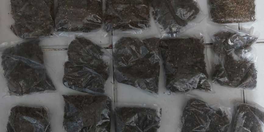 32 Paket Ganja Siap Edar Berhasil Ditangkap Polisi