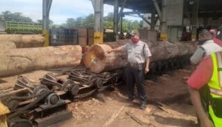 Nasib Malang Menimpa Seorang  Karyawan PT. SWPI Tewas Tertimpa Kayu Saat Bekerja