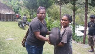 Serahkan 266 Ekor Bantuan Bibit Babi Kepada Masyarakat, Pemkab Tolikara Harap Dapat Meningkatkan Kesejahteraan