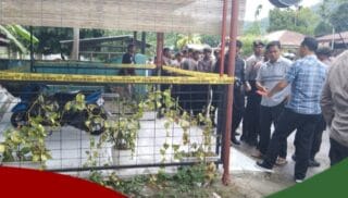 Tersengat Listrik di Pagar, Seorang Bocah di Serui Meninggal Dunia