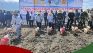 PMI Bersama BINDa dan Pemkab Tanam Jagung Guna Mendukung Ketahanan Pangan dan KMAN VI