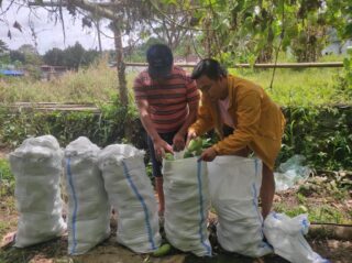 Kontingen KMAN Asal Sulawesi Utara Berpartisipasi Bawa Sayur-Mayur