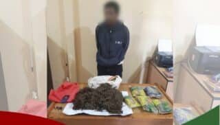 Polisi Tangkap Pemilik Ganja Sebanyak 1 Karung 10 Kilogram di Argapura