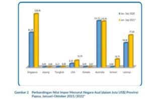 Perkembangan Impor Papua Dari 7 Negara Meningkat 43,20%