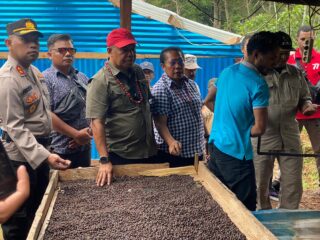 Dukung Produksi Kopi Ambaidiru, Pj Bupati Mambay Serahkan 1 Unit Transdes dan Tinjau Perkebunan Masyarakat