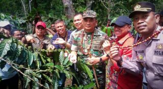 Workshop STC Hari Terakhir, Rombongan Pj Bupati Yapen Tinjau KebunKopi Negeri Diatas Awan