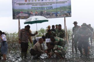 Kapolres Yapen: Tanaman Mangrove Penting  Untuk Menjaga Ekosistem Laut