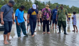 Jaga Keseimbangan Ekosistem Laut, Pj Bupati Mambay Lepas 250 Ekor Tukik Hijau di Pantai Lori
