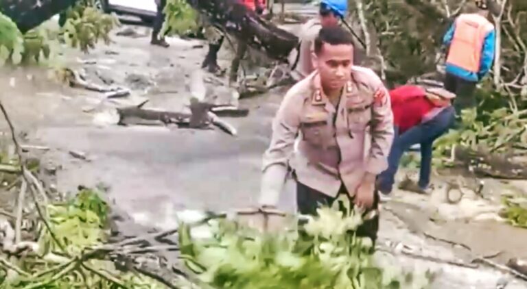 Kapolres AKBP Edwin Parsaoran turun langsung ikut melakukan evakuasi pohon tumbang pasca hujan deras melanda kota Waisai Kabupaten Raja Ampat