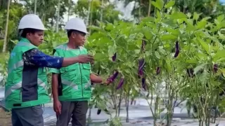 Merajut Masa Depan Masyarakat  di Kawasan Tambang Freeport