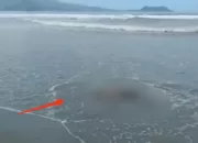 1 Korban Tenggelam di Pantai Holtekamp Ditemukan, 1 Korban Masih Dalam Pencarian