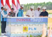 PLTS Tahap 1 Kapasitas 10 MW Sukses Dioperasikan, PLN Tunjukkan IKN Dilayani Energi Bersih