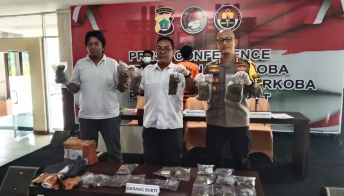 Ditresnarkoba Polda Papua Barat Bekuk Napi Kabur Dari Lapas Sorong, Saat Ambil Pesanan Narkotika Ganja