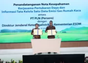 PLN-Ditjen Gatrik Sinergi Kendalikan Perubahan Iklim pada Subsektor Pembangkit Listrik
