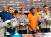 Polisi Berhasil Ungkap 2 Kasus Peredaran Ganja di Pelabuhan Jayapura