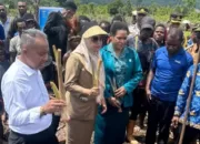 Pemprov Papua Pegunungan Dorong Pertumbuhan Ekonomi Kabupaten Yalimo