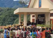 Dukung Peresmian Gereja Ainggigi, PT Freeport Bantu 65 Ekor Babi  dan Transportasi Warga