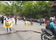 Tak Terima Hasil Pengumuman CASN, Masa Pendemo Blokir Semua Akses Jalan Masuk Kantor Walikota Jayapura