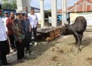 Paguyuban Nusantara, Pendeta Hingga Relawan Serahkan Hewan Kurban dari Kaka Besar PW