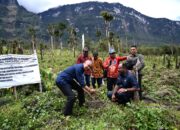 Gubernur Velix Wanggai Panen Ubi Jalar di Lahan 20 Hektar