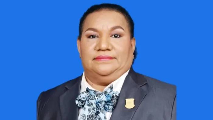 Profil Herlin Beatrix Monim, Perempuan Papua Pertama Jabat Wakil Ketua DPR Papua