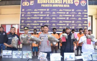 Ungkap Modus Peredaran 7 Kg Ganja, Polisi Tangkap 11 Tersangka di Jayapura, 2 Warga PNG
