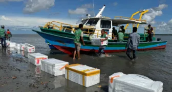 Program Restocking, PT. Freeport Tebar 10.000 Anakan Ikan dan 500 Kepiting di Muara Sungai Ajkwa