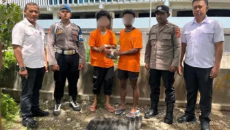 Polresta Jayapura Kota Musnahkan 37 Gram Ganja Dari 2 Tersangka