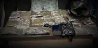 Polresta Jayapura Amankan Residivis Narkoba, Sita 600 Gram Ganja Siap Edar