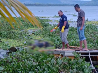 Jenazah Pria Tanpa Identitas Ditemukan Mengapung di Danau Sentani, Polres Jayapura Lakukan Penyelidikan