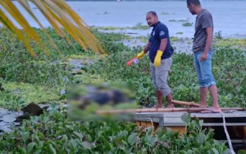 Jenazah Pria Tanpa Identitas Ditemukan Mengapung di Danau Sentani, Polres Jayapura Lakukan Penyelidikan