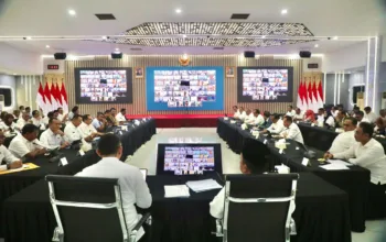 Perkuat Ketahanan Pangan, Pemerintah Pusat Perluas Lahan Sawah Dilindungi ke 12 Provinsi