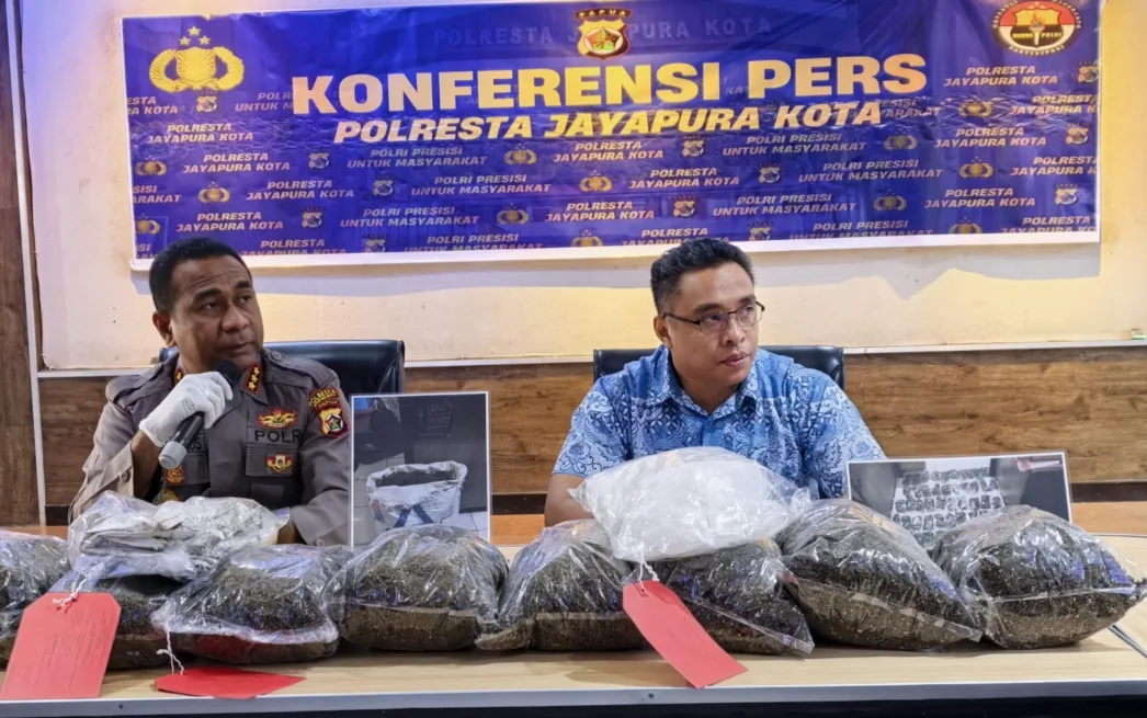 Kasus Terbesar di 2026, Polresta Jayapura Kota Amankan 8,3 Kg Ganja, Pelaku Terancam Penjara Seumur Hidup