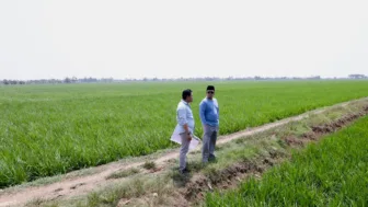 Menteri ATR Tinjau Lahan Sawah Indramayu: Dipastikan Bukan Kawasan Pangan Berkelanjutan Sebelum Jadi Kawasan Industri