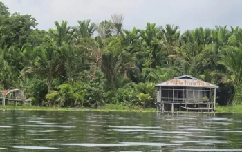 Pemandangan di Tepi Danau Sentani Jadi Pengingat Pentingnya Jaga Tanah, Hutan Dan Dusun Sagu Hadapi Krisis Pangan