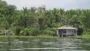 Pemandangan di Tepi Danau Sentani Jadi Pengingat Pentingnya Jaga Tanah, Hutan Dan Dusun Sagu Hadapi Krisis Pangan