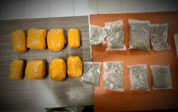 Polisi Tangkap Warga PNG di Jayapura, Sita 1,5 Kg Ganja di Kos-kosan
