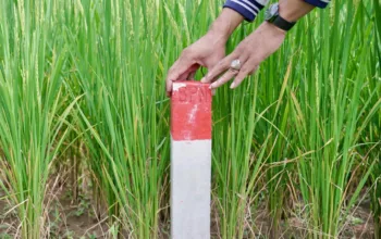 Tak Perlu Ribet ke Pengadilan, Pasang Patok Batas Tanah Jadi Kunci Hindari Cekcok
