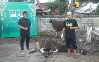 Masjid Babul Jannah Sentani Sembelih 9 Sapi Kurban, 1 Bantuan Bupati Jayapura