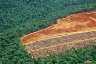 Penurunan Deforestasi di Brasil, Keberhasilan Kebijakan Lingkungan Lula da Silva