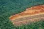 Penurunan Deforestasi di Brasil, Keberhasilan Kebijakan Lingkungan Lula da Silva